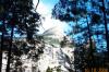 Yosemite scene