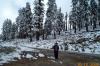 Leslie on the Tioga road