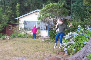 Cabin swing image