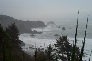Fog along the coast image