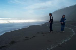 On the Agate beach image
