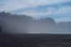 Fog on the beach