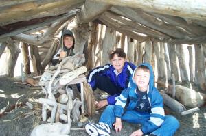 Driftwood house image