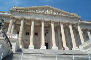 Steps of the capitol image