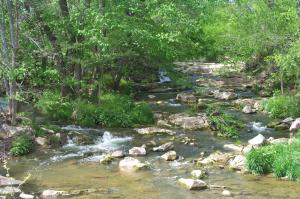 Creek image