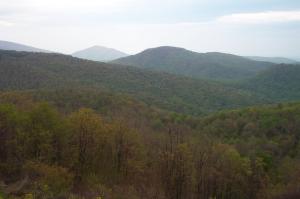 Shenendoah valley image