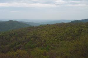 Shenendoah valley image