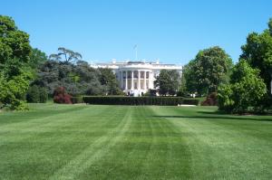 The White House image