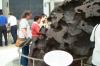 Williamette Meteorite