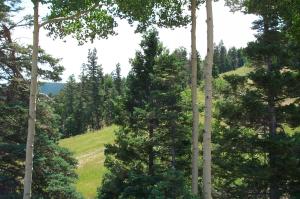 Mountains from a ski lift image