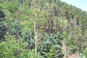Red River mountains image