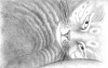 Realistic Cat