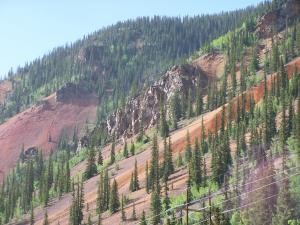 Trees on a mountain side image