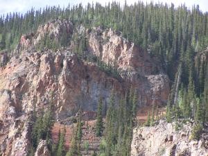 Trees on a mountain side image