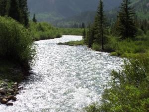 A mountain stream image