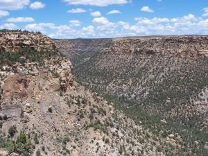 Canyon in front of the Balcony House image