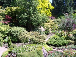 Butchart Gardens image