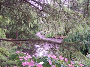 The VanDusen Botanical Gardens image