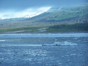 Bay near Hubbard glacier image
