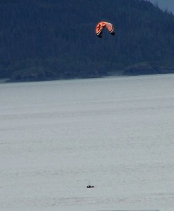 Wind Surfing image
