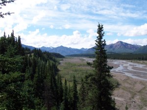 Teklanika River image