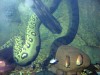 Anaconda under the water