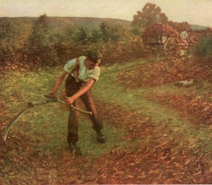 Mowing Bracken image