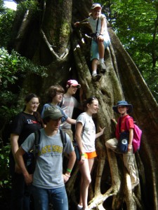 Standing around a tree image