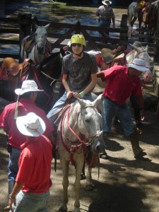 Riding Horses image