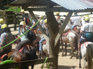 Riding Horses image