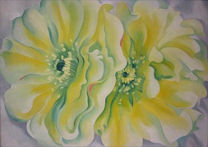 Yellow Cactus Flowers image