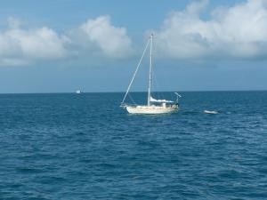 A sailboat image