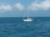 A sailboat