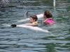 Swimming with dolphins