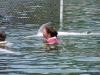 Swimming with dolphins