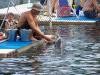 The dolphin trainer