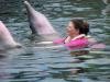 Swimming with dolphins