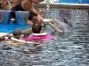 Swimming with dolphins