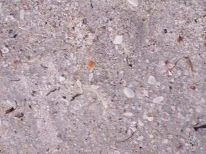 Sand on the beach image
