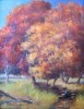 Autumn Colors