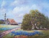 Bluebonnets and Barn