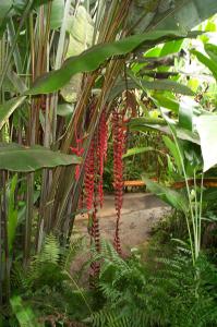 Botanical gardens image