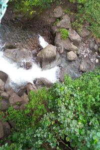 Ioa Valley State Park image