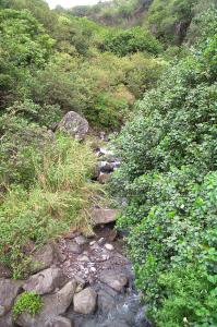 Ioa Valley State Park image