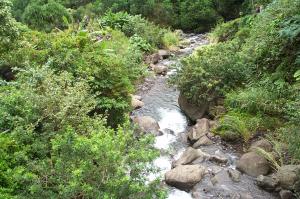 Iao Valley State Park image