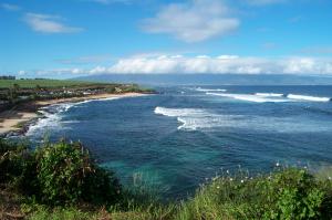 Ocean view image