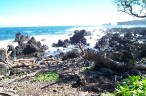 Wainapanapa State Park image