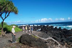 Lava rock on a black sand beach image