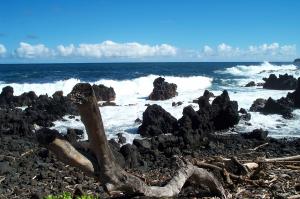 Lava rock on a black sand beach image