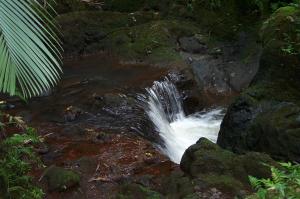 Botanical gardens image